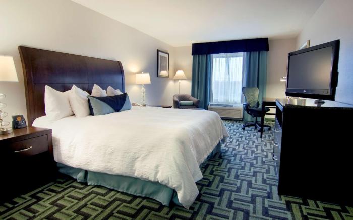 Hilton Garden Inn South Bend