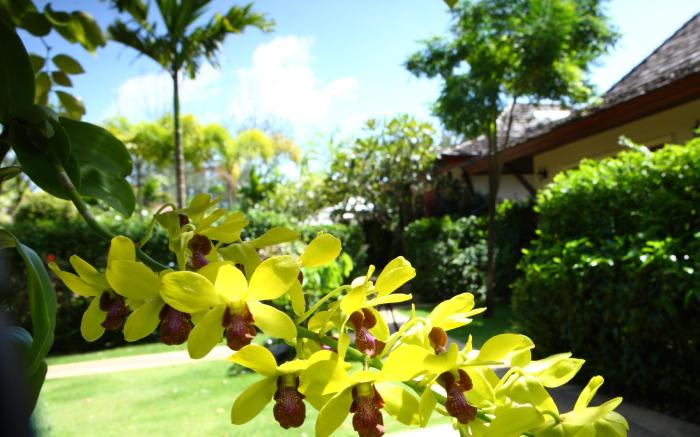 Pai Tan Villas
