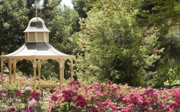 Lyndoch Hill