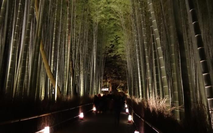 Hotel Livemax BUDGET Kyoto Ekimae