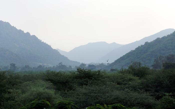 Pushkar Heritage