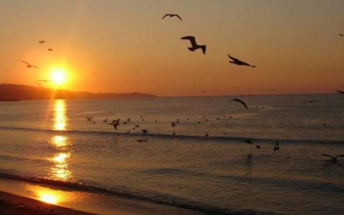Sunrise Hotel