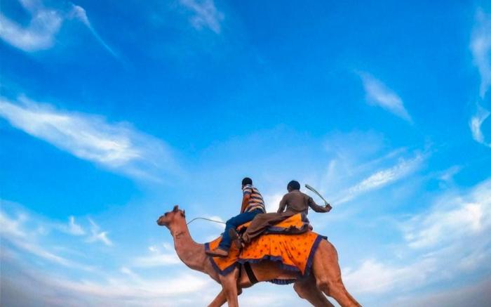 The Saffron Desert Camp