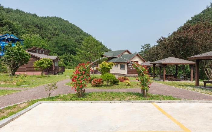 Gangneung Yasaenghwa Maeul