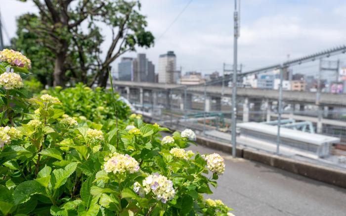 TOKYO CITY VIEW HOTEL TABATA-STATION
