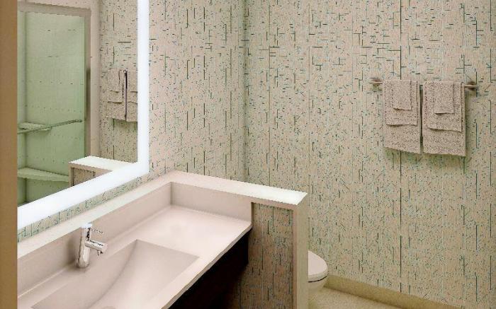 Holiday Inn Express & Suites Dallas NW - Farmers Branch By IHG