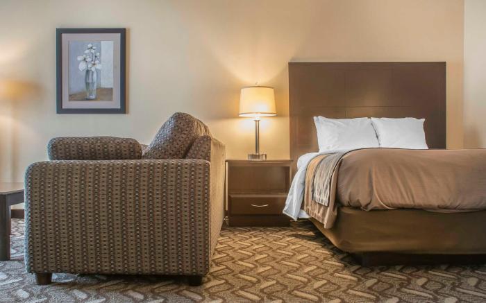 Comfort Inn & Suites Ambassador Bridge