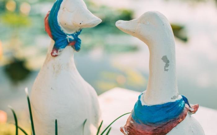 Rosario Oasis Resort