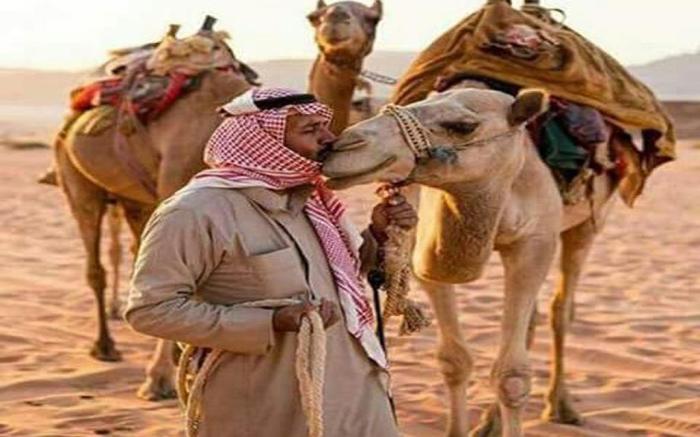 Wadi Rum Moon Light Camp