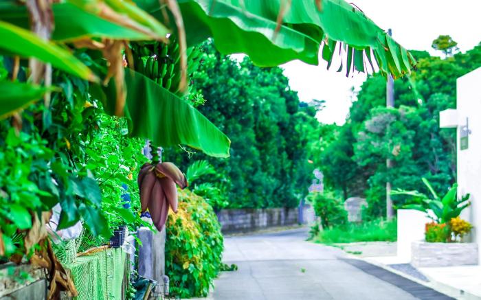 Ahman Suite Villa Sumuide