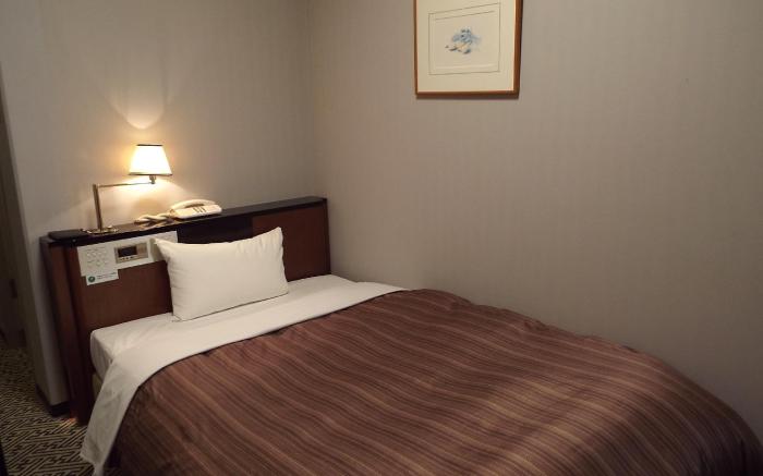 Ark Hotel Kumamotojyo Mae