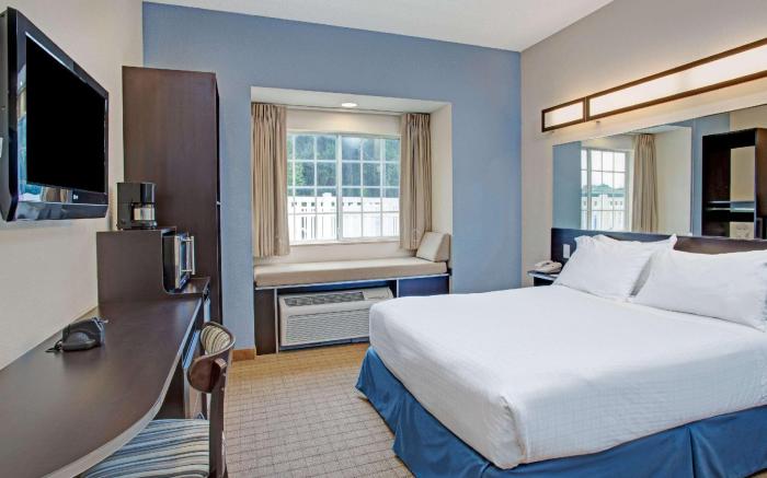 Microtel Inn & Suites by Wyndham Brooksville