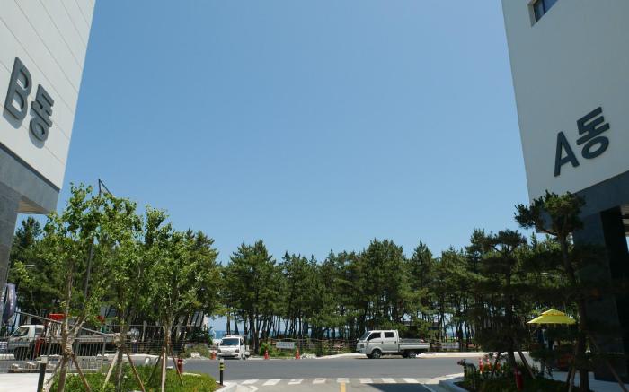 Sokcho Ocean Beach