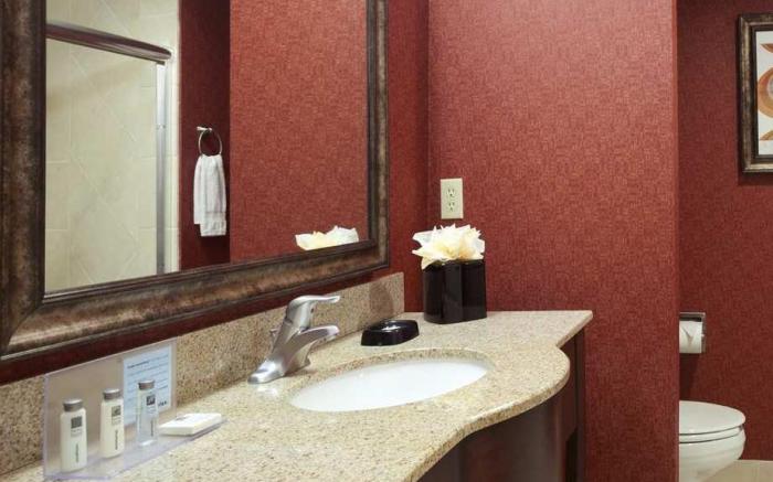 Hampton Inn & Suites Conroe - I-45 North