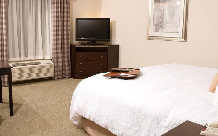 Hampton Inn and Suites Mt. Pleasant