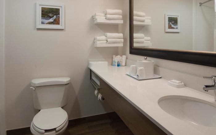 Hampton Inn Hot Springs