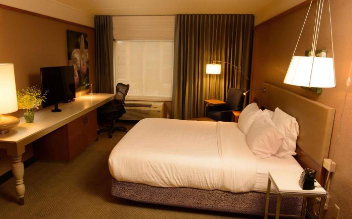 Hilton Garden Inn Rochester Downtown