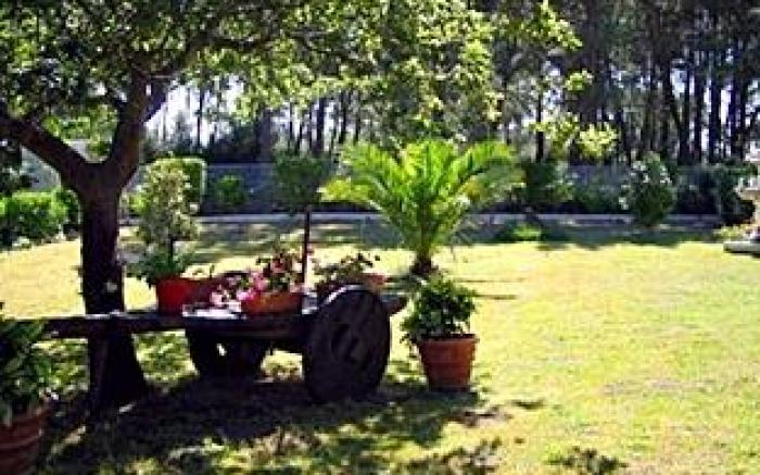 Hotel La Costera
