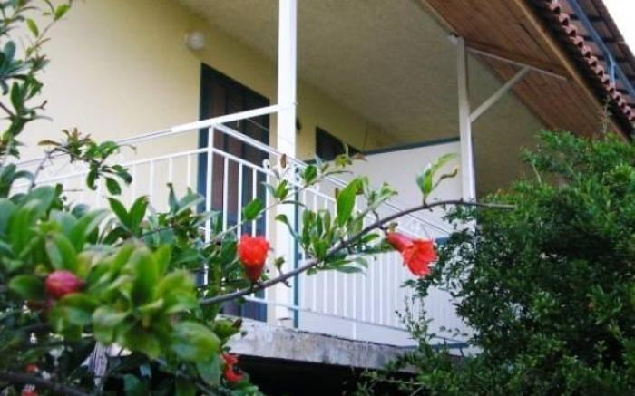 Leonidas Resort