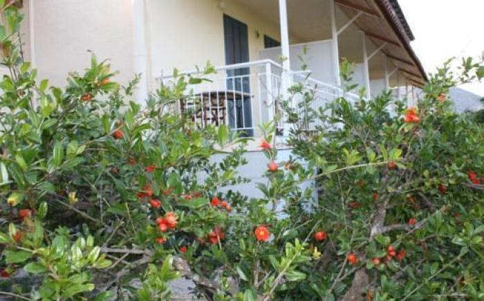 Leonidas Resort
