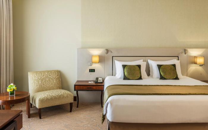 The Tower Plaza hotel Dubai