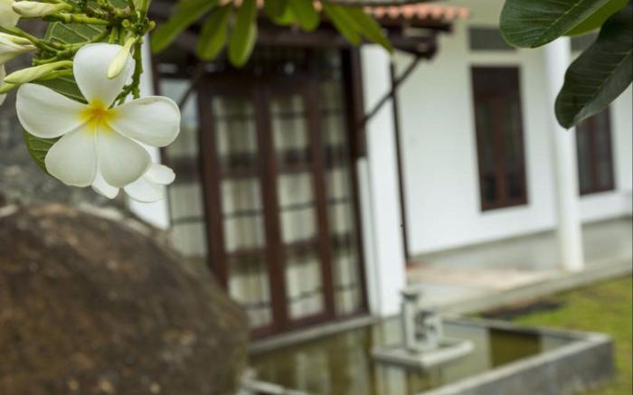 Meadow Villa