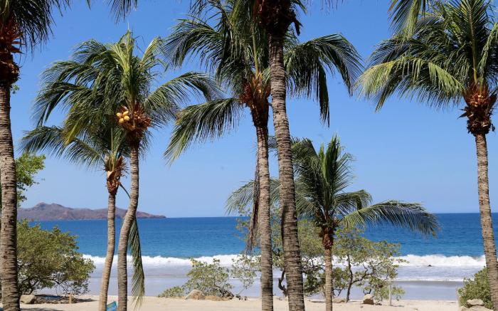 Margaritaville Beach Resort Playa Flamingo