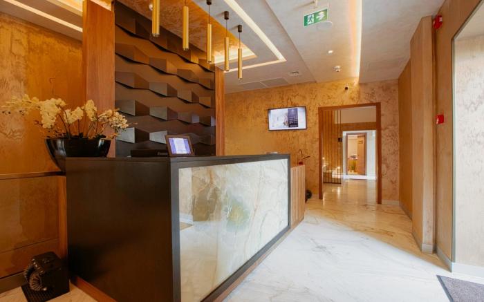 Stein Collection Hotel