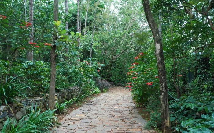 Blue Valley Estate-12 acre-Forest Home-SilverOak 