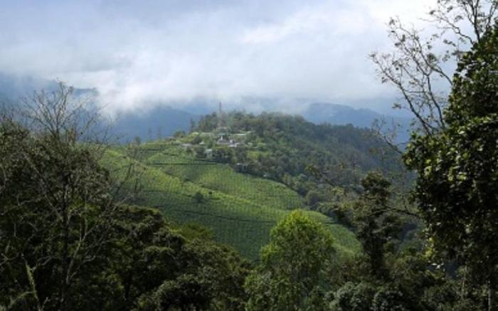 The Whispering Meadows Resort