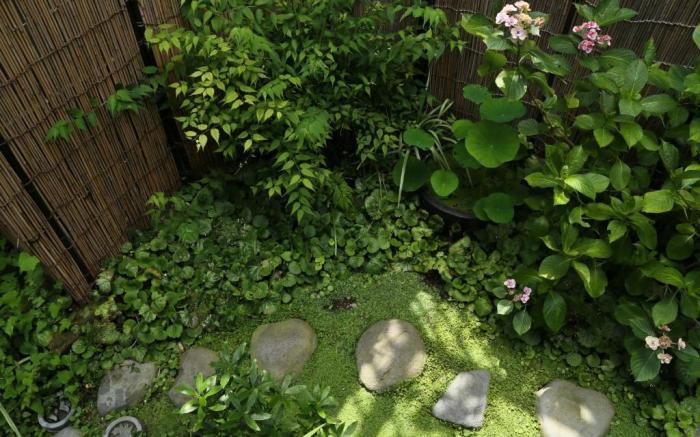 Guest House Kamejikan