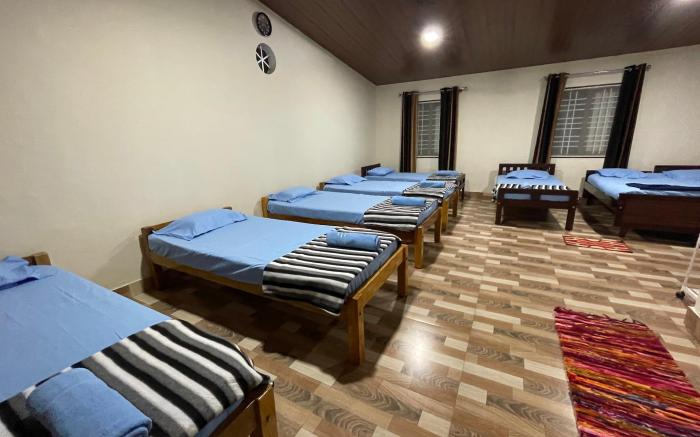 New Organic Home stay
