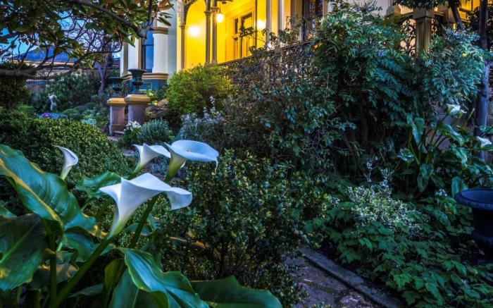The Corinda Collection