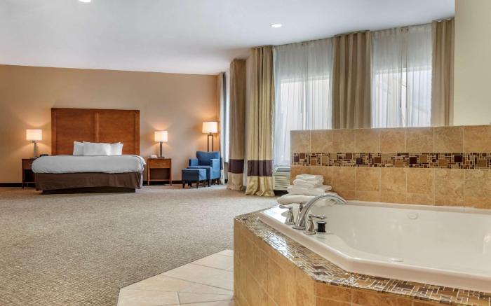 Comfort Inn Apalachin / Binghamton W Route 17