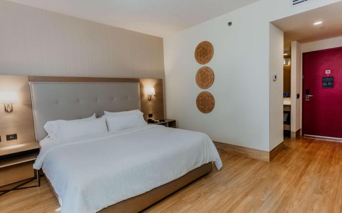 Hilton Garden Inn Silao Aeropuerto Bajio