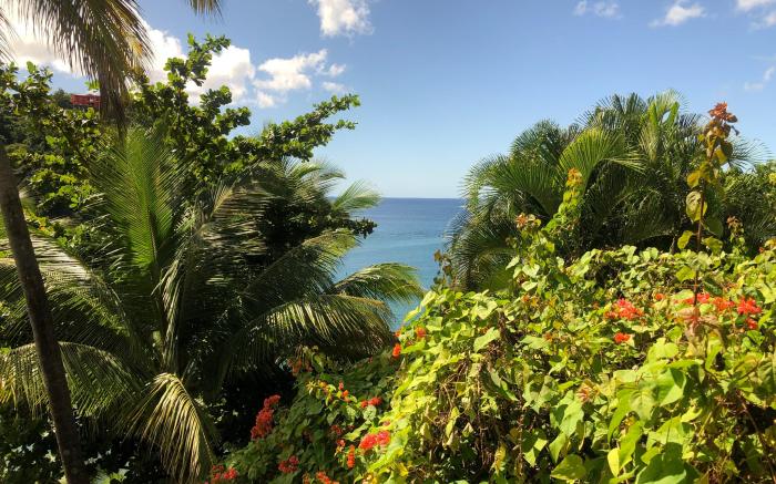 Marigot Beach Club and Dive Resort