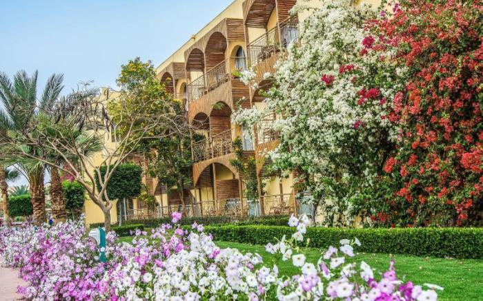 Desert Rose Resort