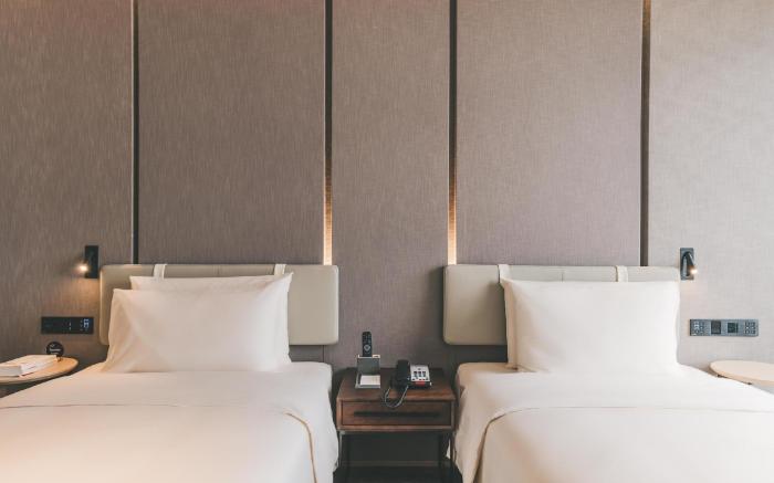 Atour Hotel Shenzhen Luohu Shuibei IBC