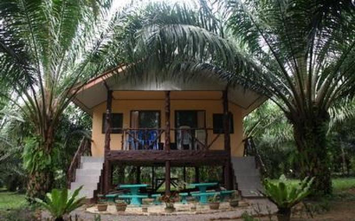 Khaosok Palmview Resort