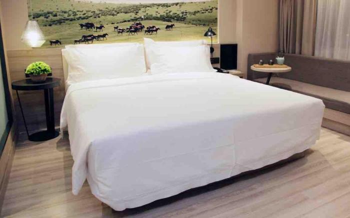 Atour Hotel Hohhot Gulou Mandukhai