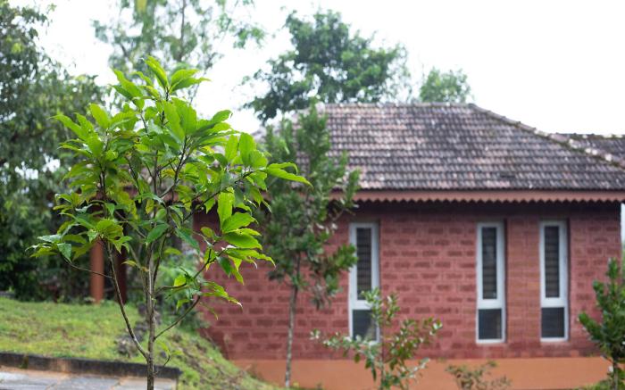 Sharavathi Adventure Camp -Jungle lodges
