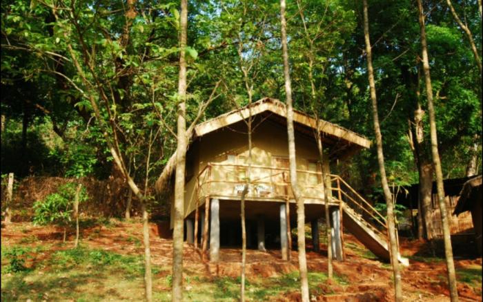 Old Magazine House - Jungle Lodges