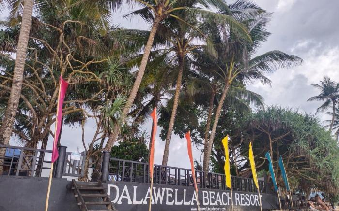 Dalawella Beach Resort