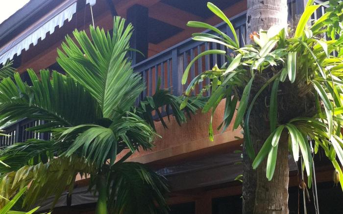 The Shambhala Khaolak Resort
