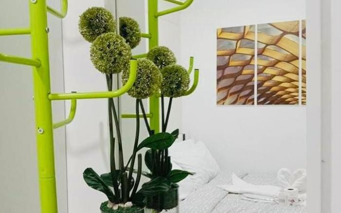 IRPM CozyStaycationGroup Coolsuites ARRA Garden