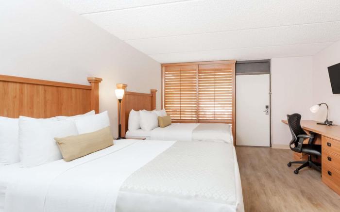 Wyndham Garden Austin