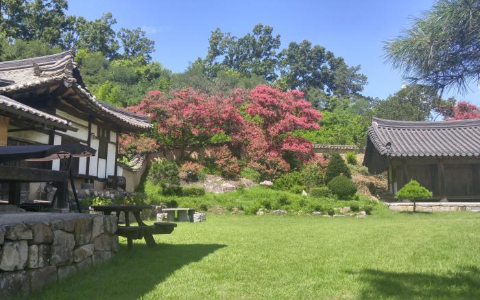 An Dong Kim Jong Tek Yang So Dang