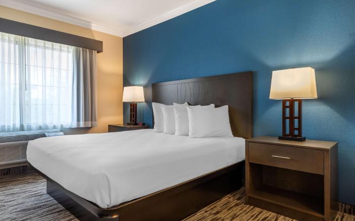 Best Western Dinosaur Valley Inn & Suites