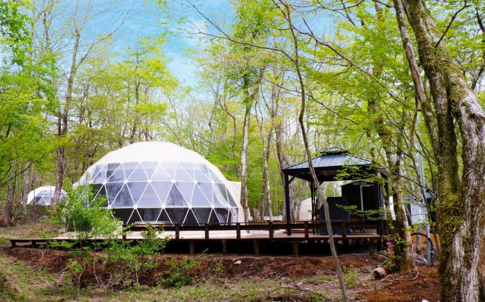 MOSS JURIGI CAMP RESORT