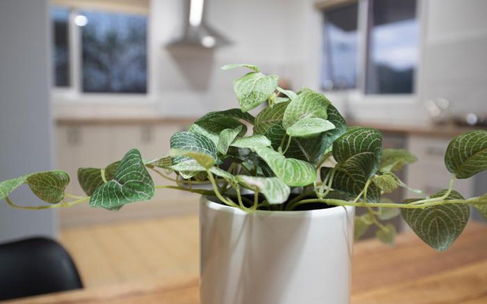 Port Campbell Motor Inn